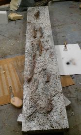IMAG0543.jpg