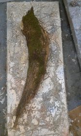 IMAG0544.jpg