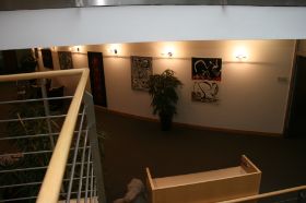 IMG_5235.JPG